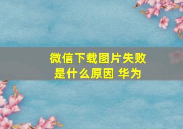 微信下载图片失败是什么原因 华为